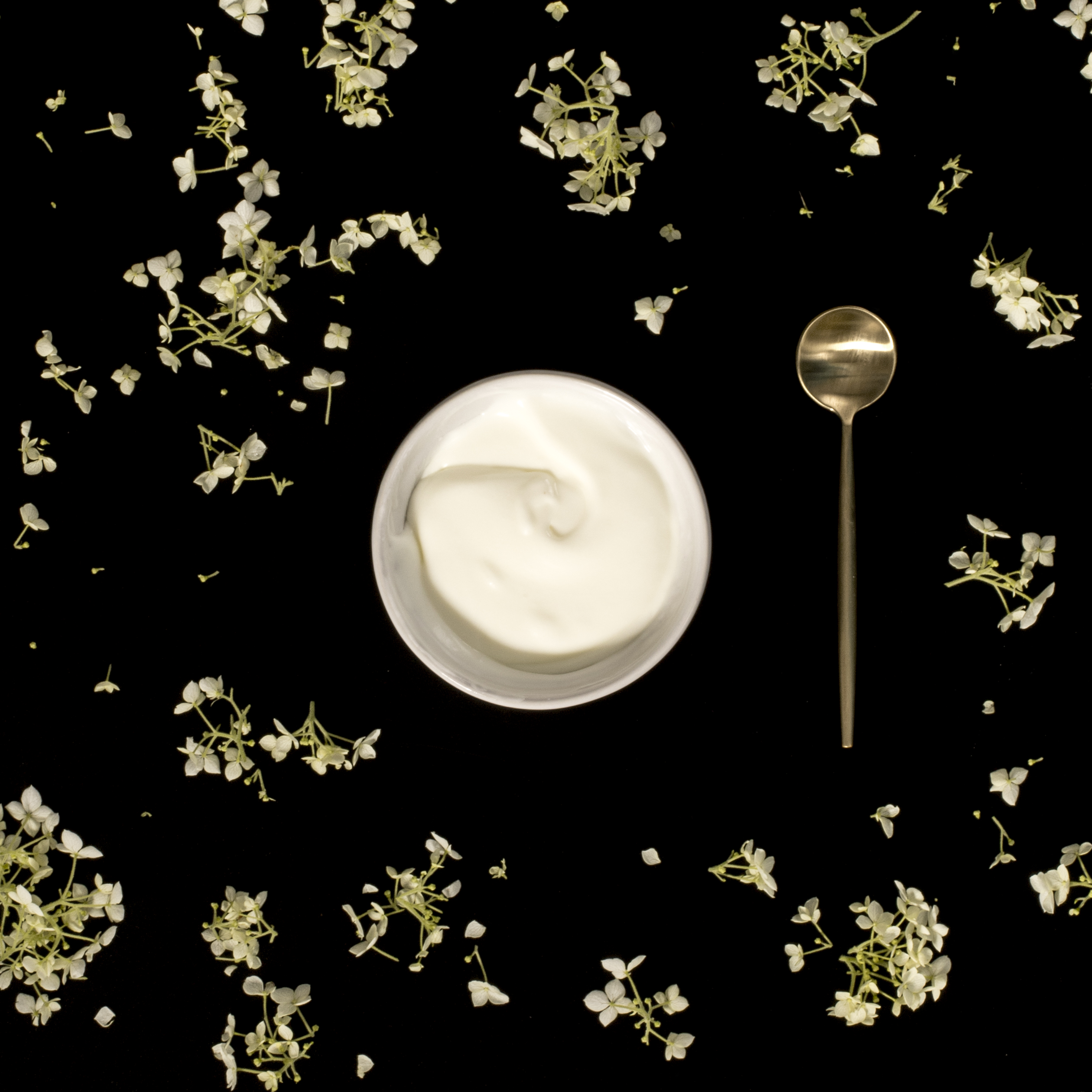 DZ¦çOGURT 2