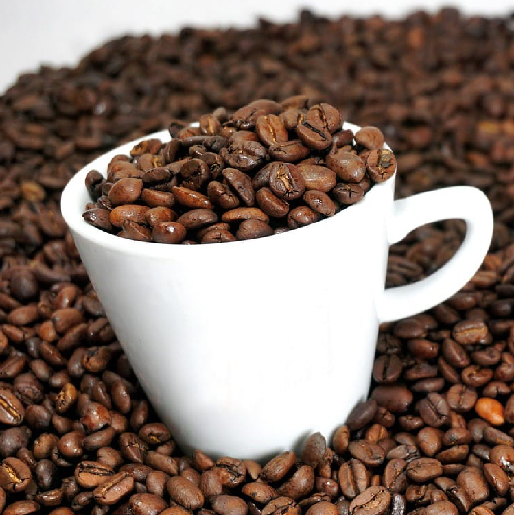 adams blend-05