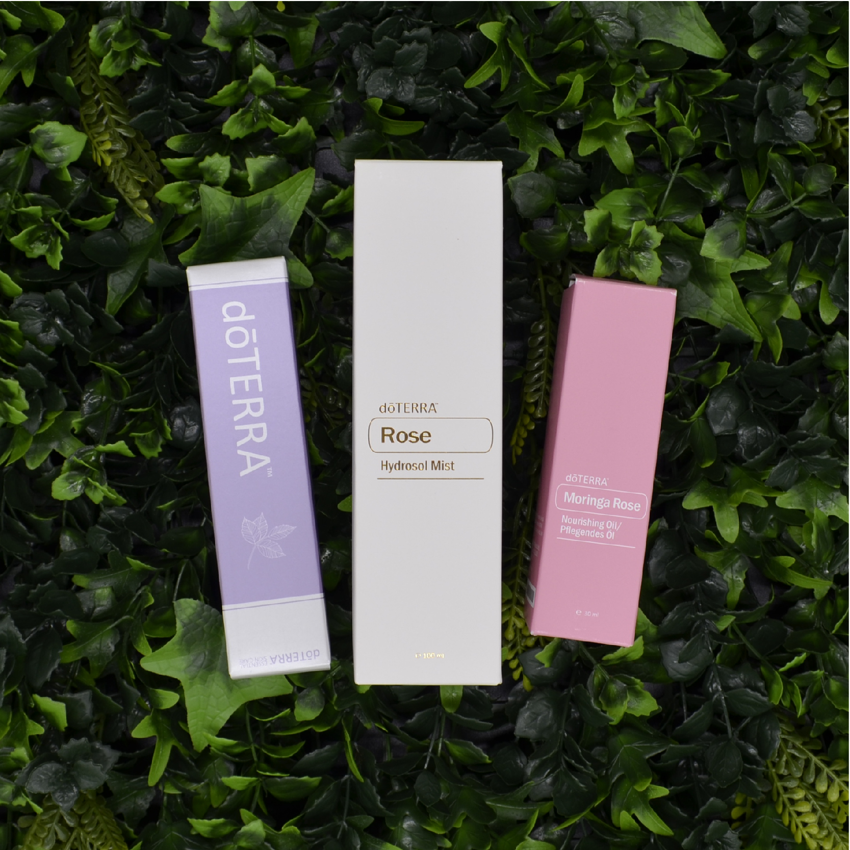 doterra-01