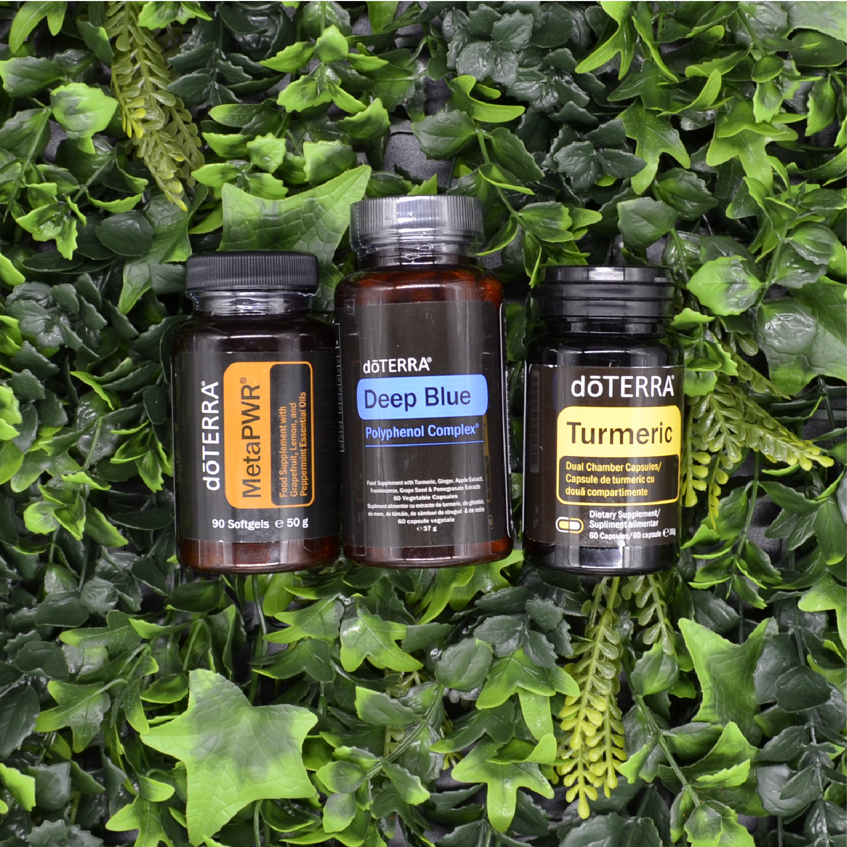 doterra-04